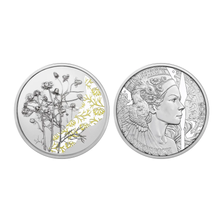 10 Euros Autriche 2023, Argent, Coffret BE, La camomille