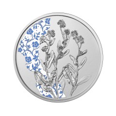 10 Euros Autriche 2023, Argent, Coffret BE, Le myosotis