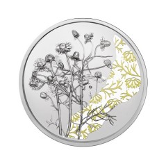 10 Euros Autriche 2023, Argent, Coffret BE, La camomille