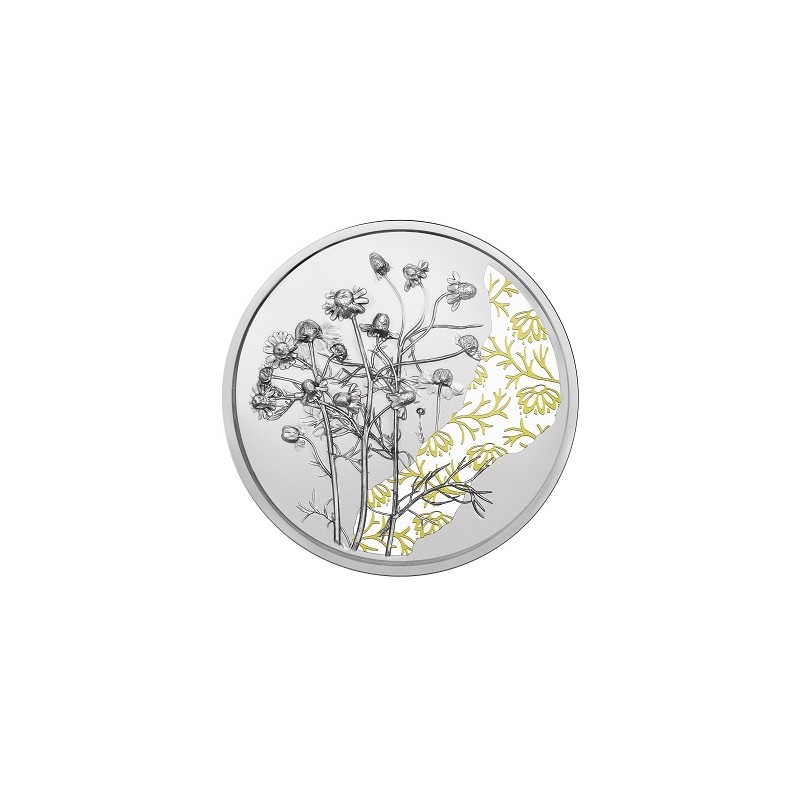 10 Euros Autriche 2023, Argent, Coffret BE, La camomille