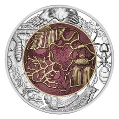Pièce de 25 Euros Autriche 2024, BU, Niobium, Edaphon