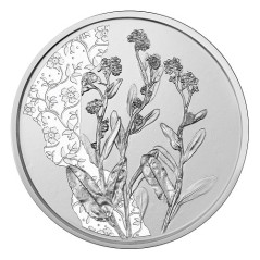 10 Euros Autriche 2023, Argent, BU, Le myosotis