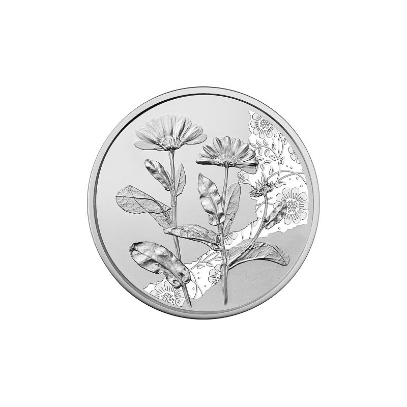 10 Euros Autriche 2022, Argent, BU, Le souci