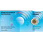 2 euros Portugal 2025, BE, Développement durable