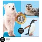 Pièce de 5 euros France 2026, UNC, les animaux polaires Pièce de 5 euros France 2026, UNC, les animaux polaires