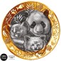Pièce de 5 euros France 2026, UNC, pandas et koala